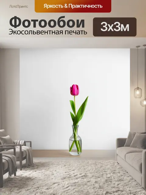Фотообои строгий минималистичный интерьер с одним тюльпаном в прозрачной вазе на белом фоне