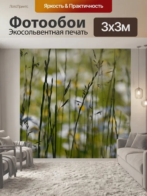 Фотообои Задний план