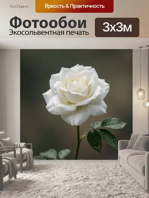 Фотообои Белая роза с каплями