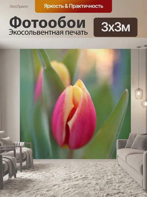 Фотообои Цветы тюльпаны красный желтый