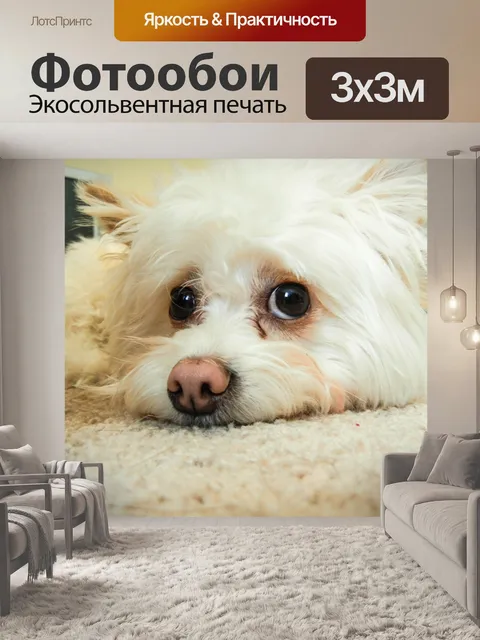 Фотообои Белый Pomapoo