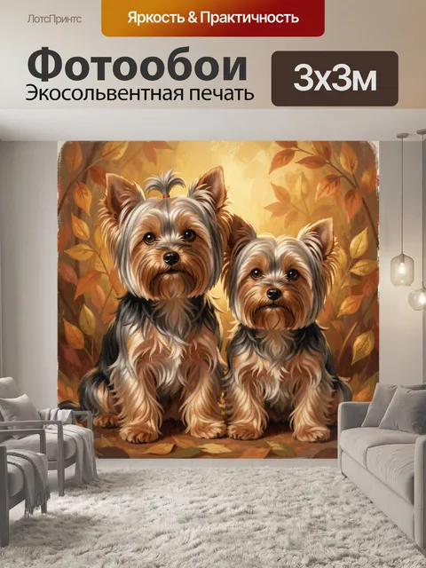 Фотообои Два йоркширских терьера осенью