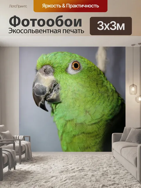 Фотообои Амазонка с желтым ворсом