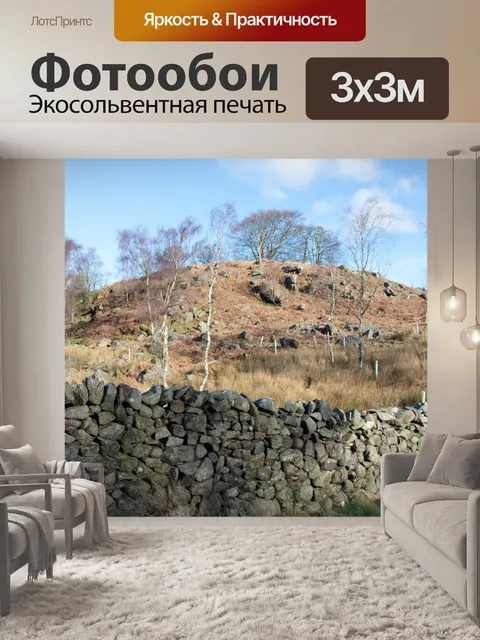 Фотообои Сухой каменной стеной