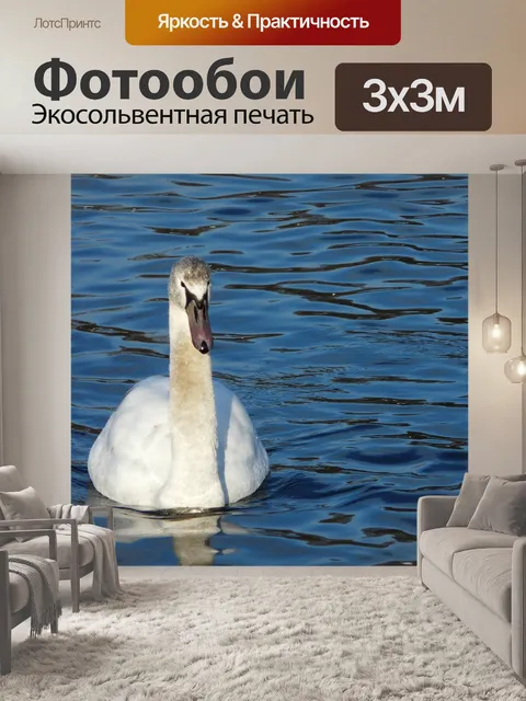 Фотообои Птицы