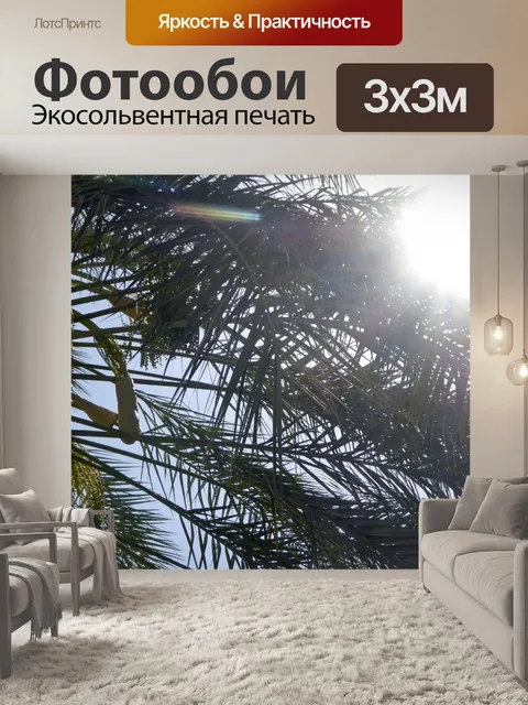 Фотообои Солнце и пальма