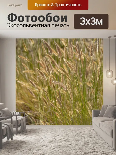 Фотообои Сорняки лисохвоста