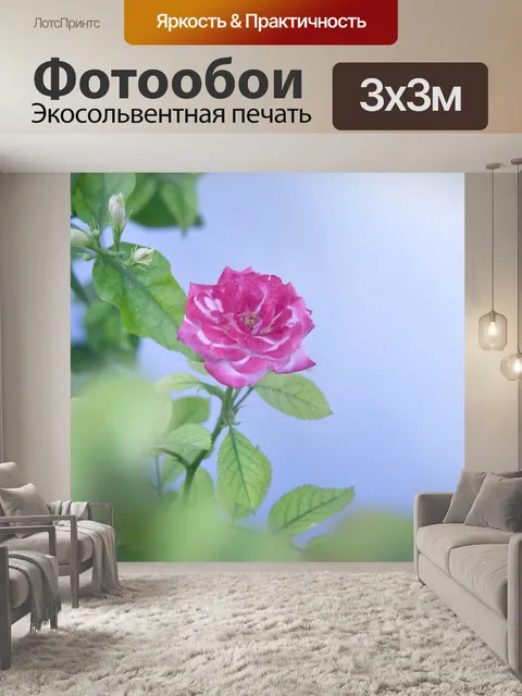 Фотообои Цветок и листва 11