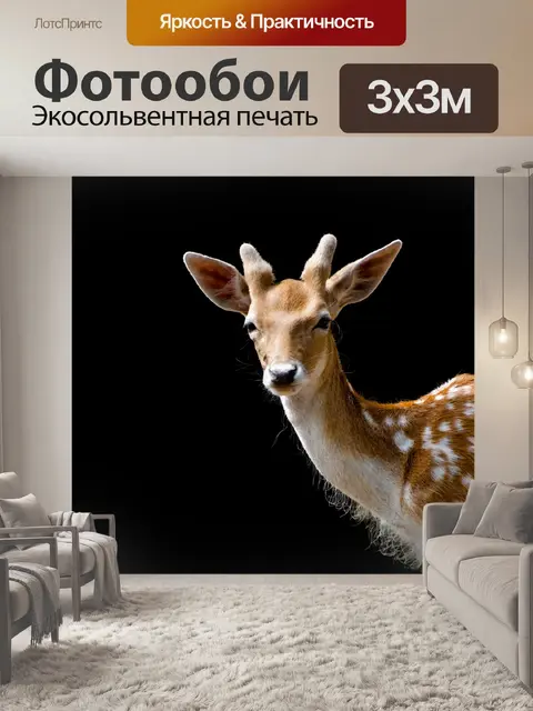 Фотообои косуля