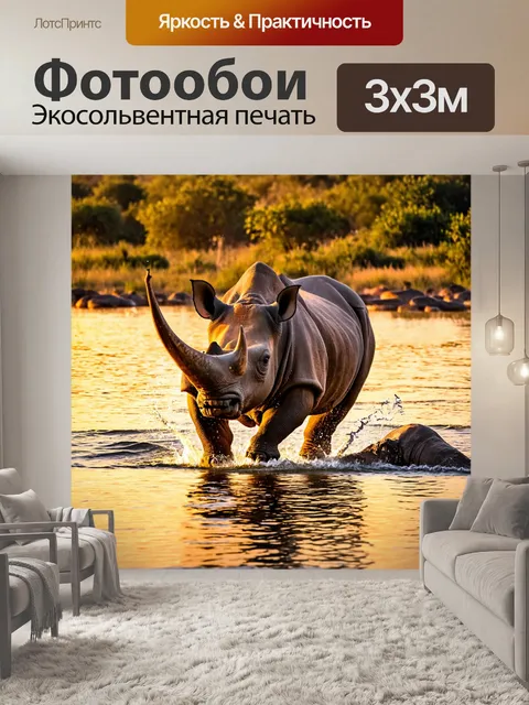 Фотообои носороги, играющие в воде во время заката