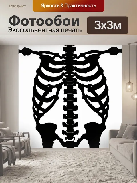 Фотообои увеличенный вид на скелет грудной клетки