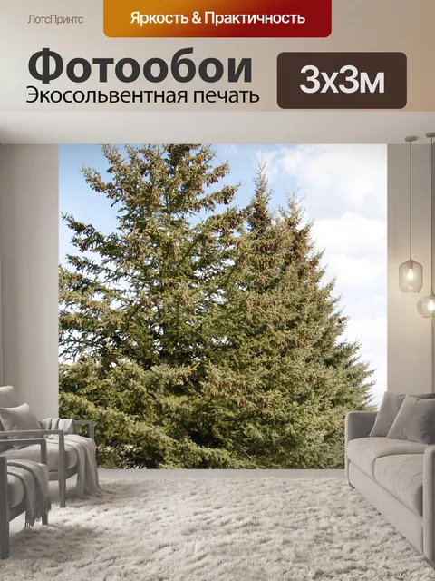 Фотообои Сосны