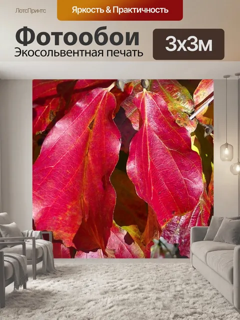 Фотообои Осенние цветы на деревьях