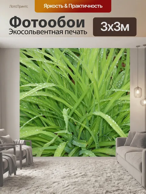 Фотообои Зеленые листья и капли дождя