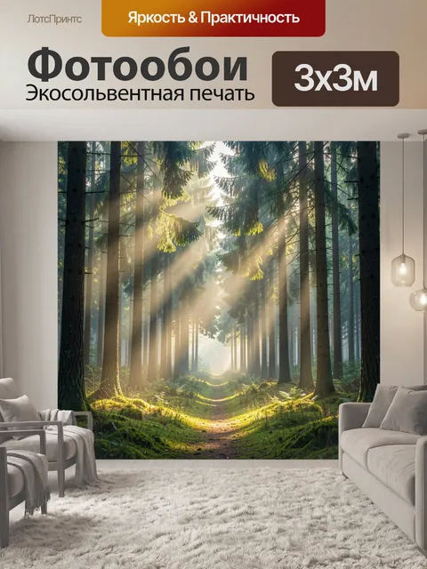 Фотообои Солнечный лесной путь