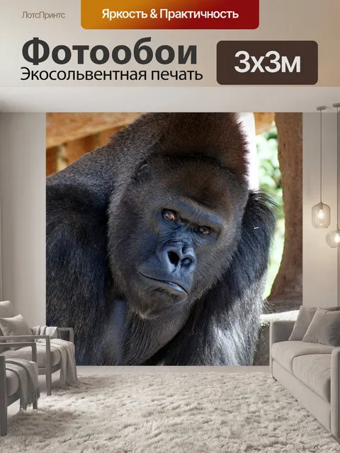 Фотообои Животное