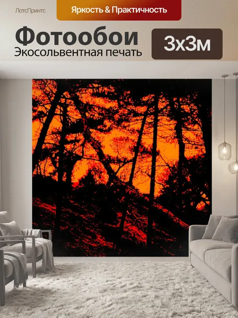 Фотообои Страшный Темный лес