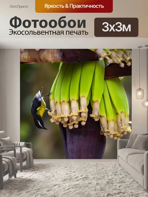 Фотообои Птицы