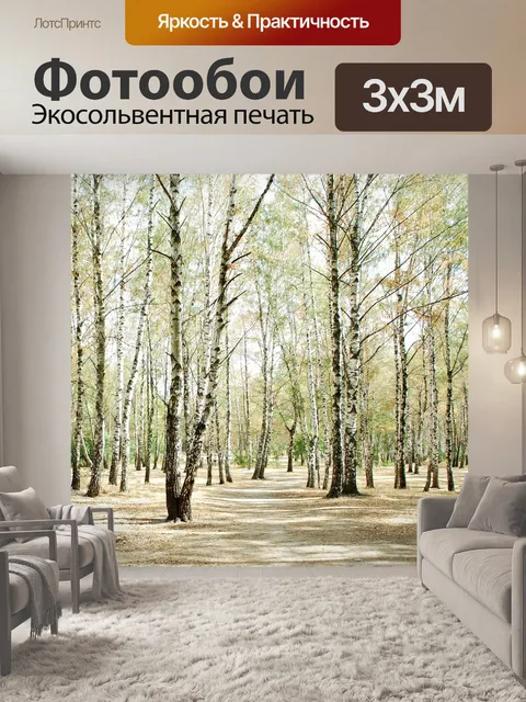 Фотообои Березы