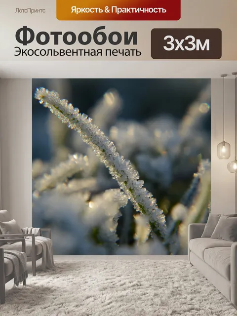 Фотообои Фрост