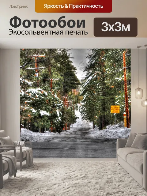 Фотообои Зимняя дорога