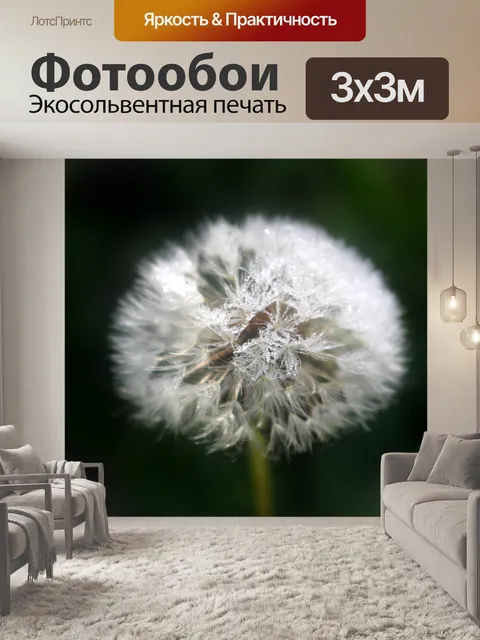 Фотообои Одуванчик