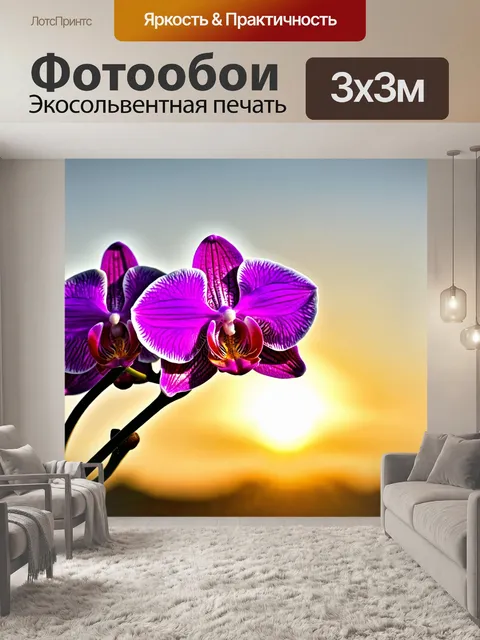 Фотообои орхидея на фоне заката, романтическое настроение