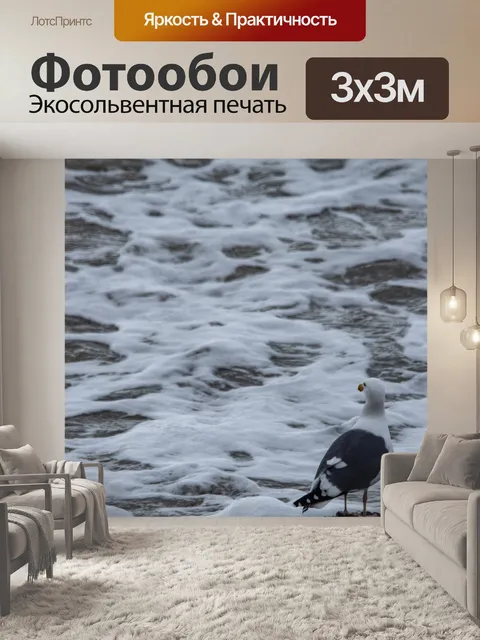 Фотообои Чайка у моря
