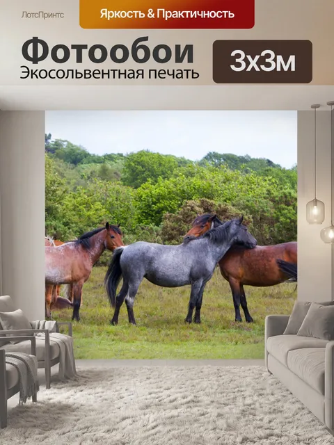 Фотообои Стадо диких лошадей