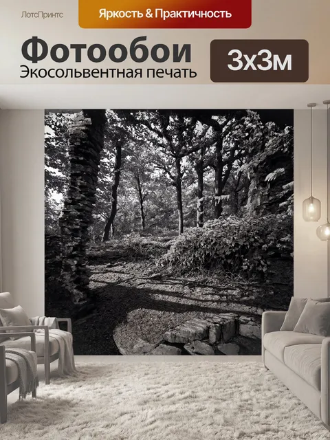 Фотообои старый, заброшенный лес, заросший листвой и цветами, с остатками разрушенного каменного строения…