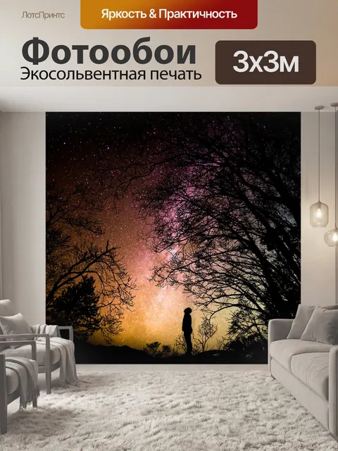 Фотообои Лес