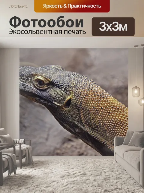 Фотообои Дракон комодо
