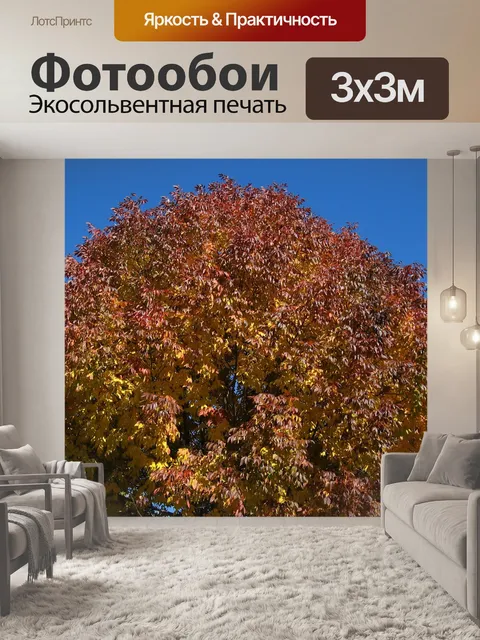 Фотообои Дерево