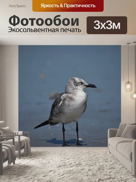 Фотообои Птицы