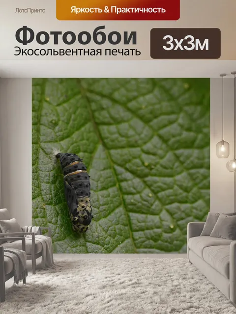 Фотообои Коста-рика