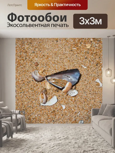 Фотообои Раковины на песке