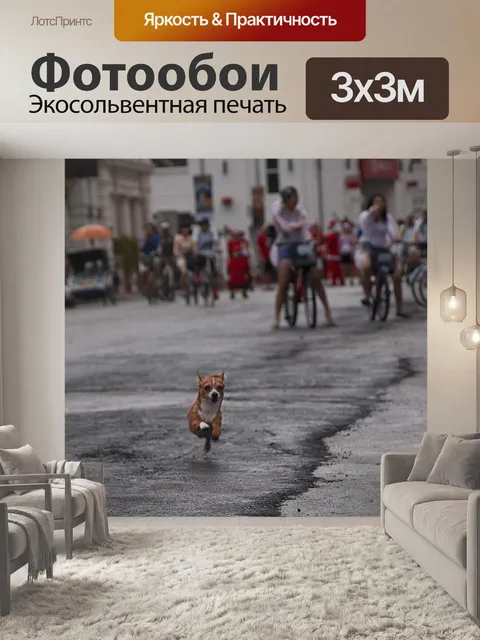 Фотообои Собака