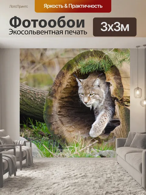 Фотообои Lynx, дикая природа
