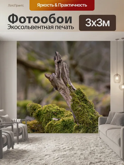 Фотообои Древесина