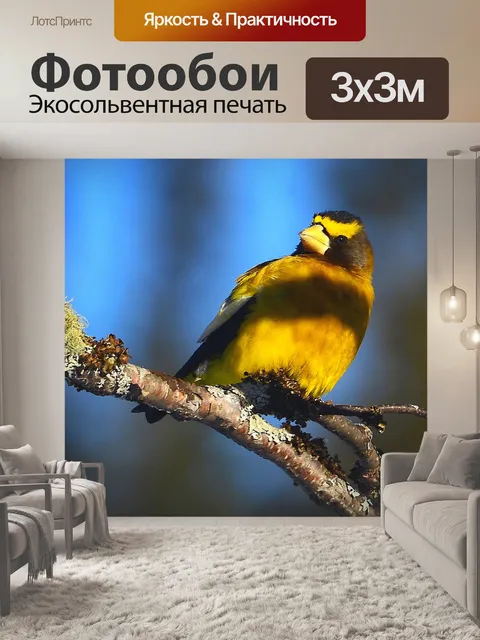 Фотообои Птица