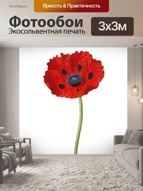 Фотообои Цветок мака искусство