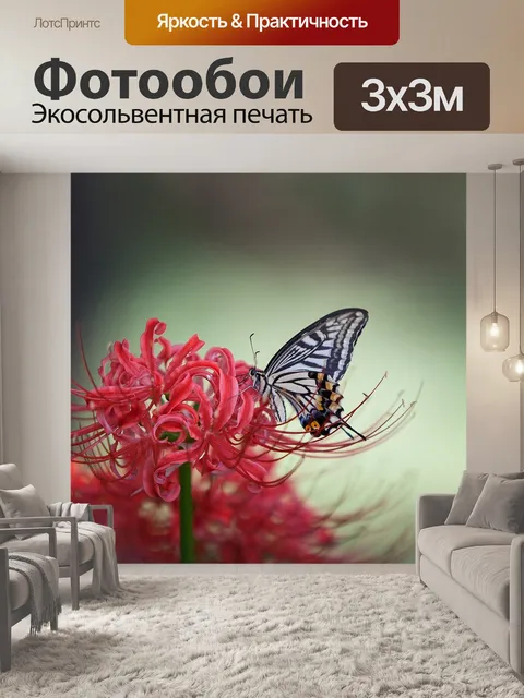 Фотообои Бабочка тигр