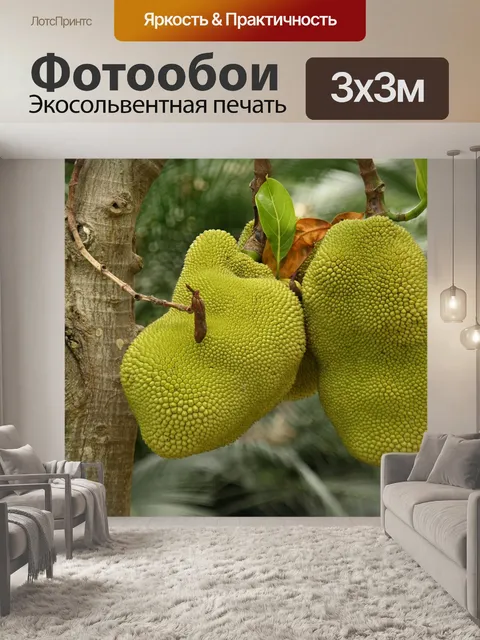 Фотообои Природа