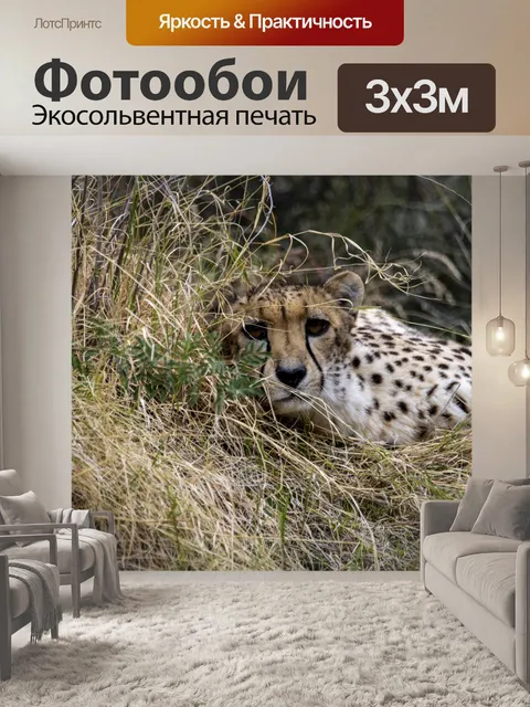 Фотообои пума