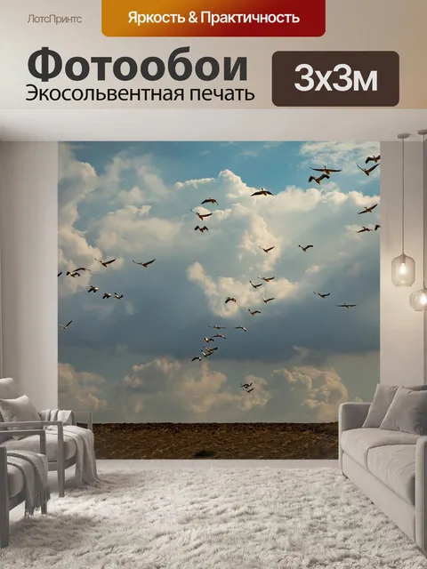 Фотообои Перелетные птицы