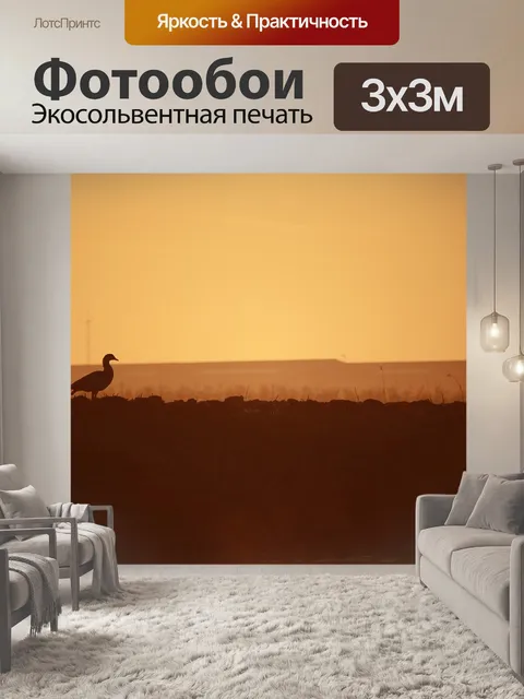 Фотообои Утка
