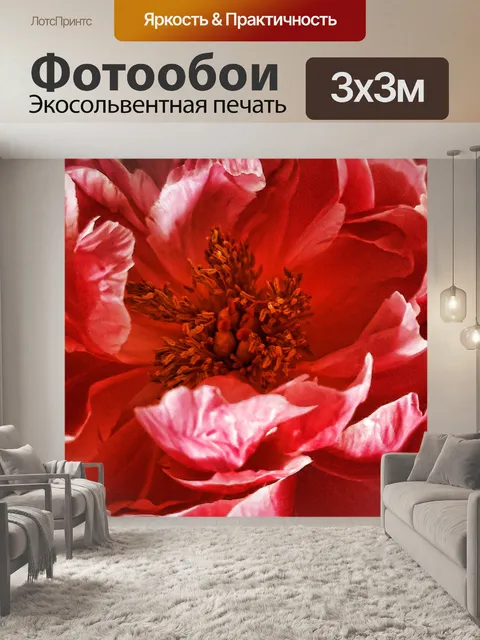 Фотообои Цветок пиона