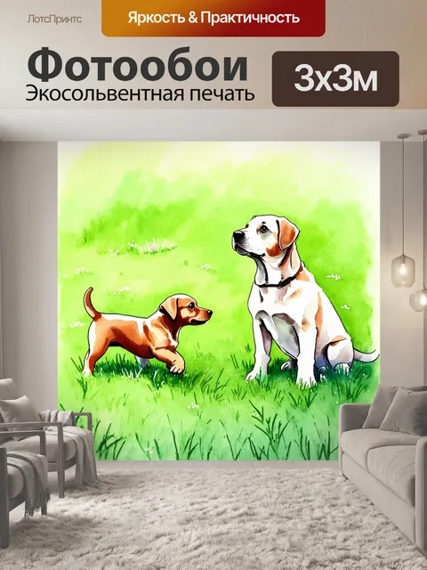 Фотообои в теплый летний день