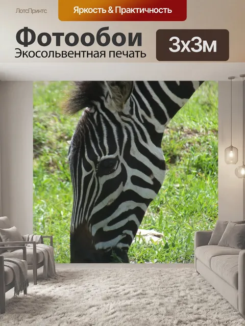 Фотообои Зебра