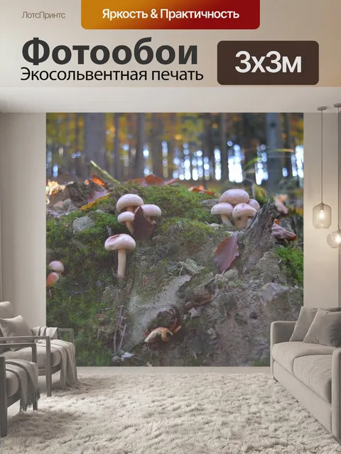 Фотообои Осень